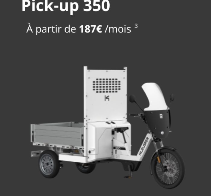 Pick-up-350 AN