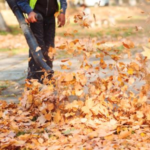 Worker in uniform is cleaning falling leaves on city street in autumn. Man using leaf blower for cleaning of the road in the park. Autumn season. Park cleaning service