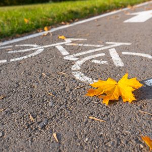 Bike path in the autumn Park. A symbol of cycle paths on the pavement